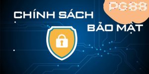 Avt chính sách bảo mật PG88